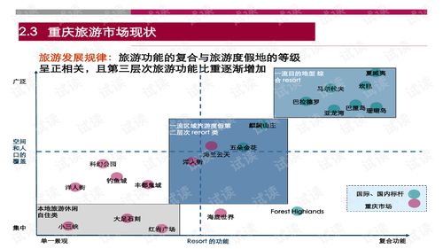 世聯(lián)重慶某大型旅游地產(chǎn)項(xiàng)目策劃報(bào)告
