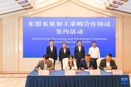 渝西新機遇 東盟水果加工分撥中心落戶永川，賦能區域旅游新篇章